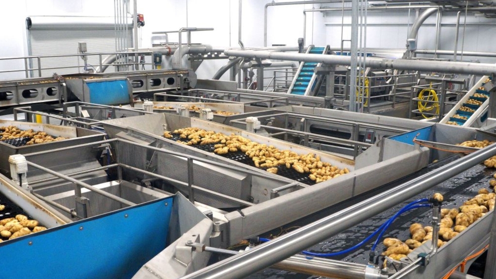 Potato Processing Line