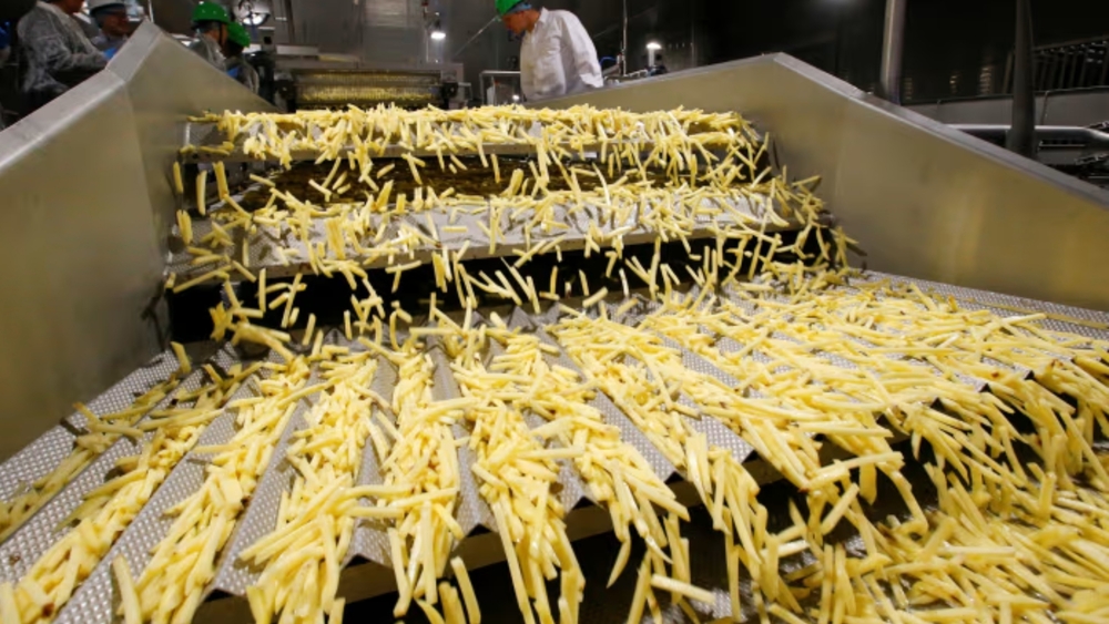 French Fries Processing Line
