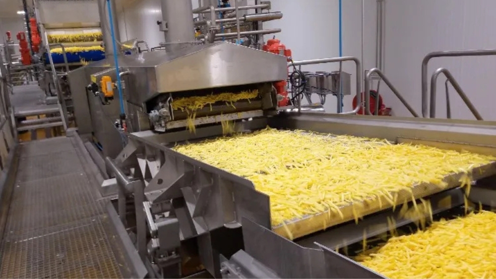 Fully automatic French fries processing line