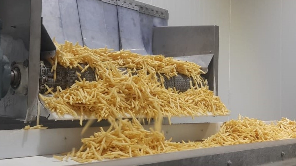 Fully automatic potato chips plant