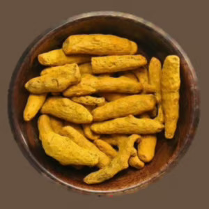 Dried Turmeric Finger