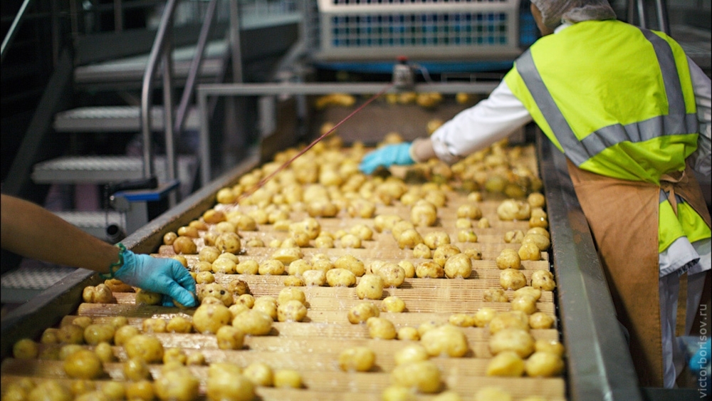 Fully automatic potato flakes processing line