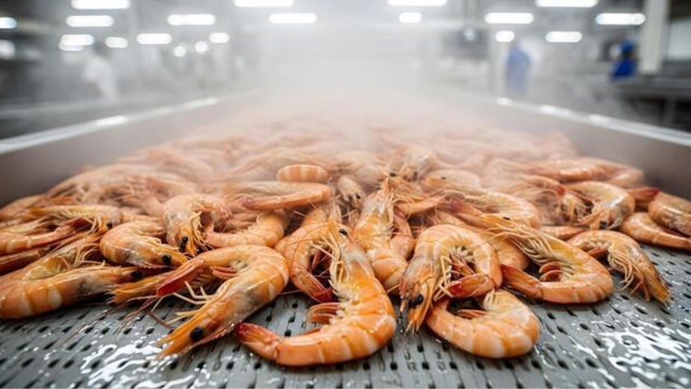 Sea Food Processing Plant