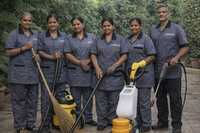 Cleaning Service