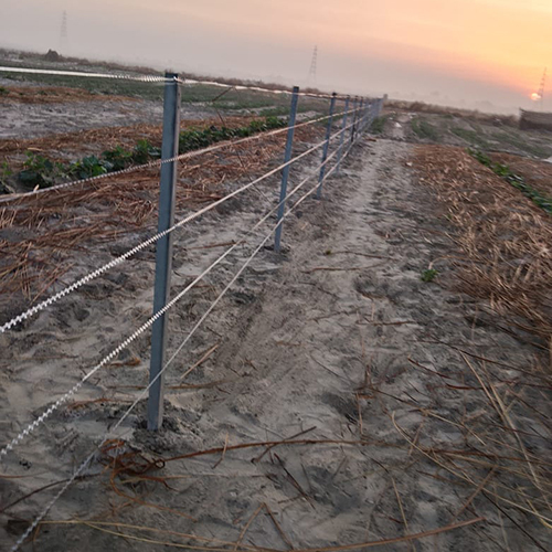 Razor Blade Barbed Fencing Wire