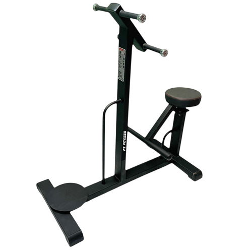 Dual Twister Gym Equipment
