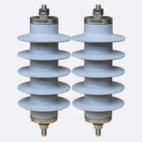 Electric Polymer Lightning Arrester