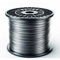 Premium Heat-resistant Fecral-0cr19al3 Alloy Unmatched Performance For High-temperature Applications - Application: Construction