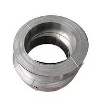 Ni200 Ni201 N4 N6 Pure Nickel Foil Nickel Sheet 0.35150mm Pure Nickel Strip - Application: Construction