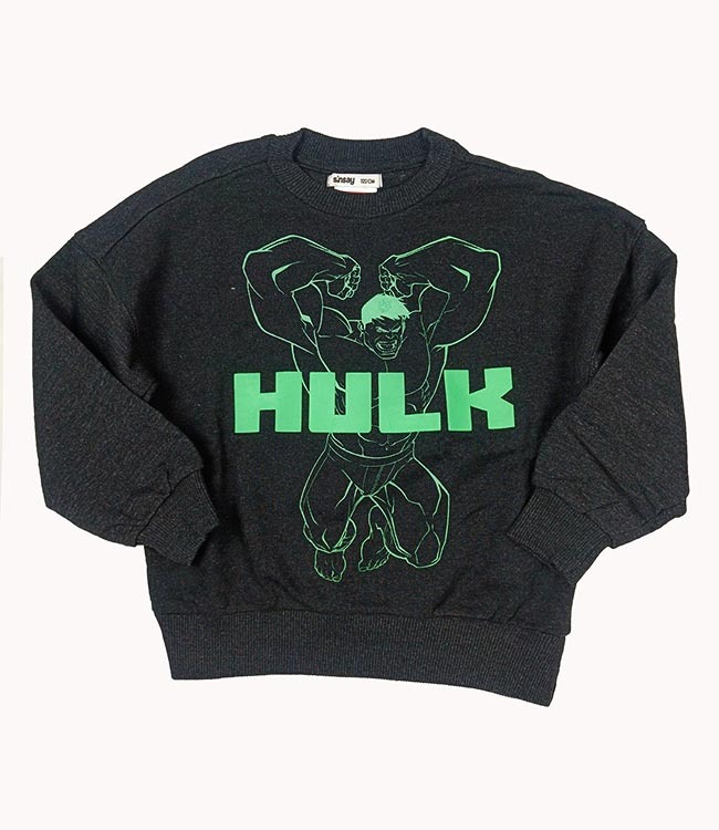 B16493 Sinsay Boys Fleece Pullover Sweatshirts