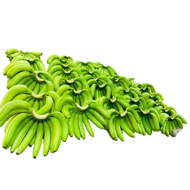 Fresh Unripe Green Raw Banana