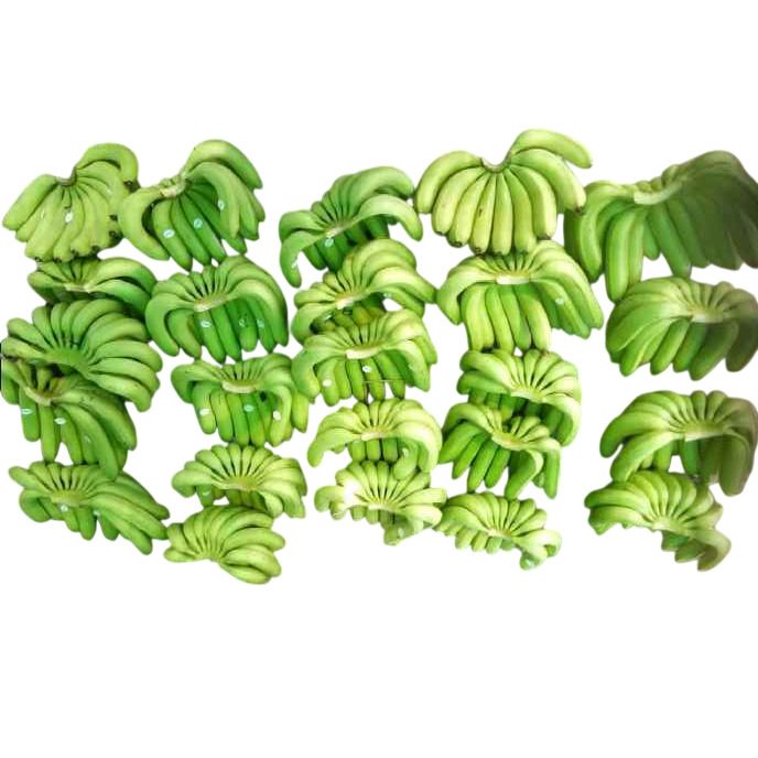 Green Raw Cooking Banana