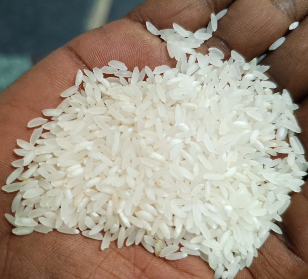Swarna Non Basmati Rice