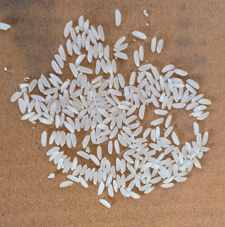White Non Basmati Rice