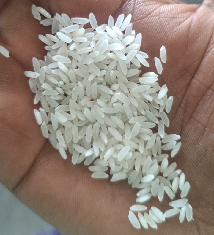 Medium Grain Non Basmati Rice