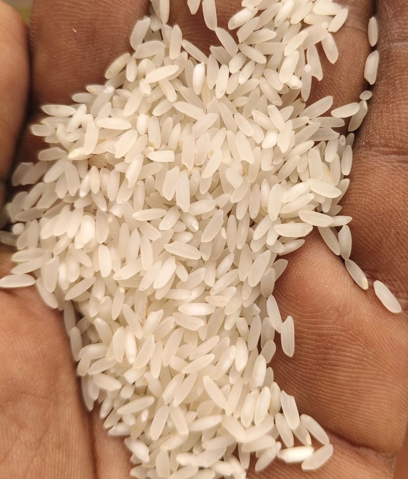 Premium Non Basmati Rice