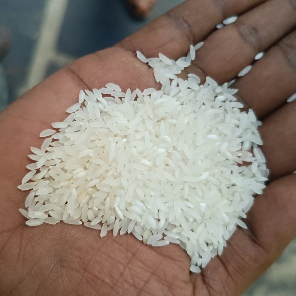 Raw White Non Basmati Rice