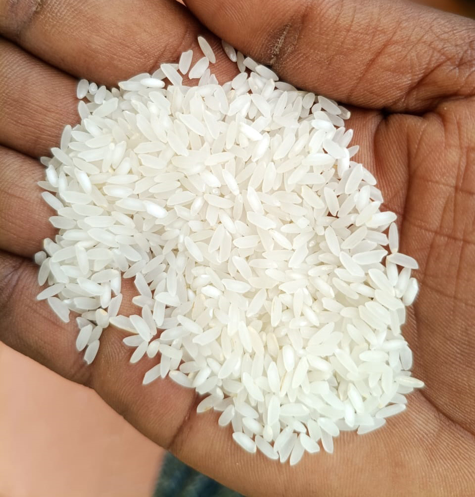 Organic Polished Non Basmati Rice