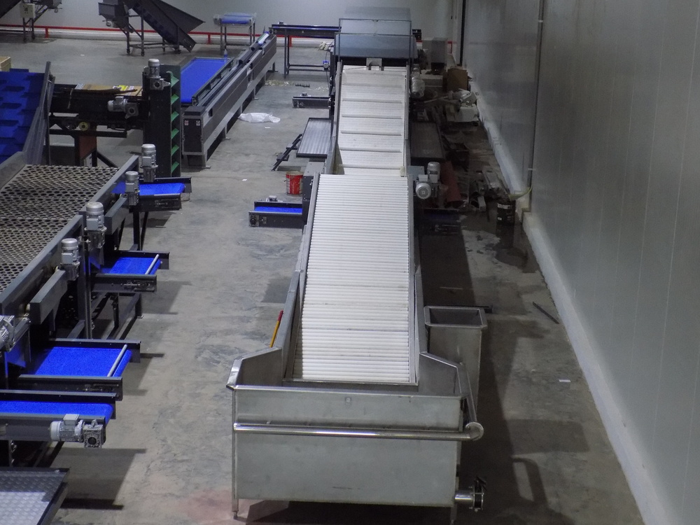 Vegetable Processing Line