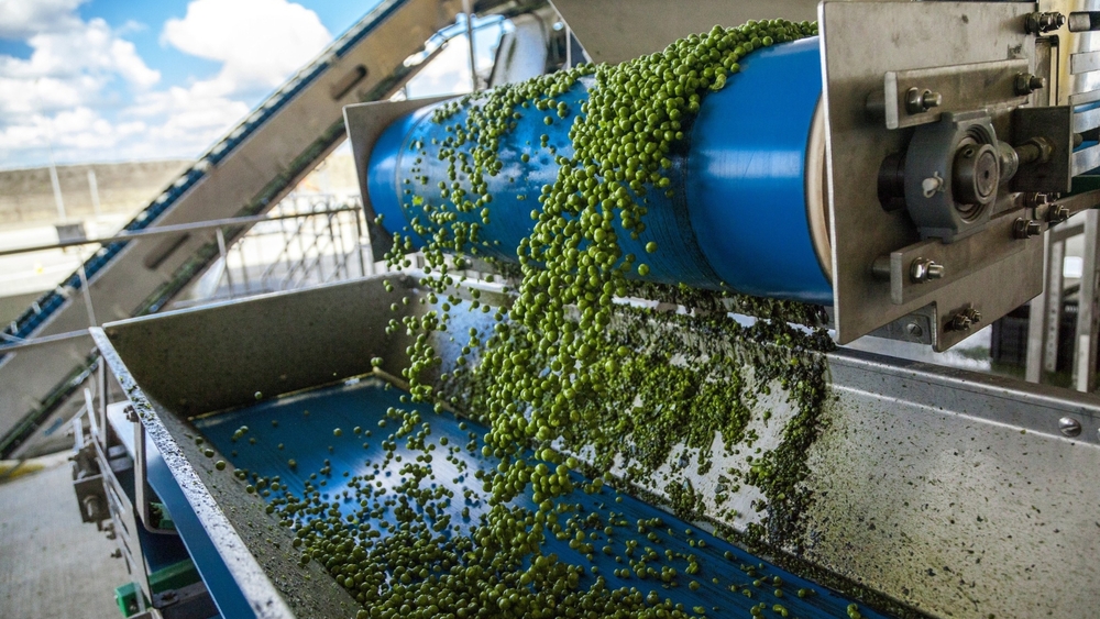 Automatic Frozen Fruit & Vegetable Processing Line