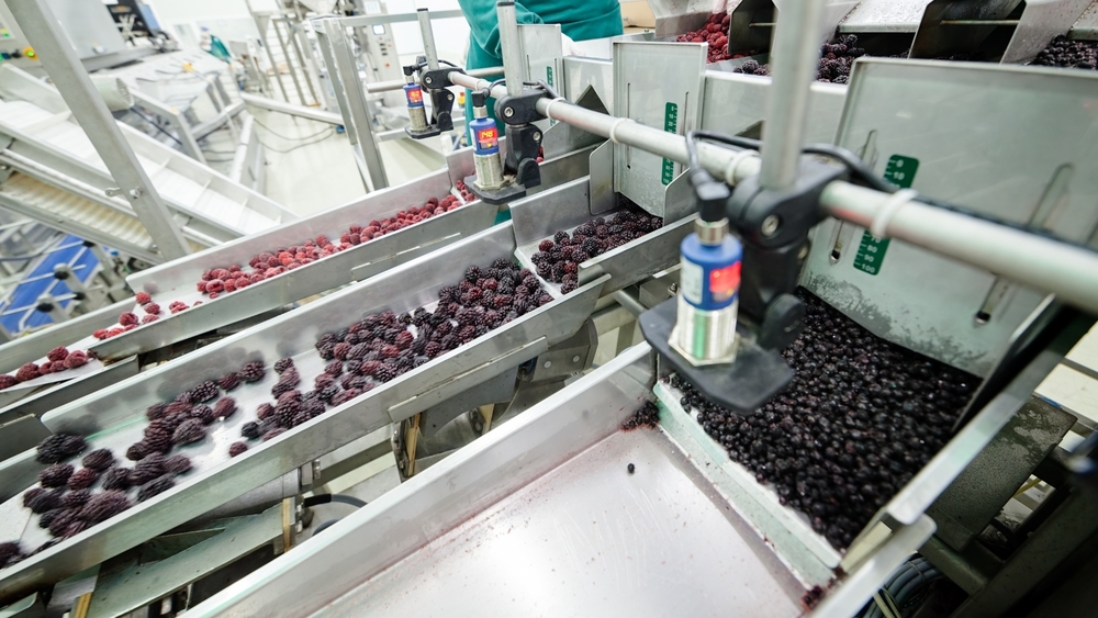 Frozen Vegetable Processing Plant