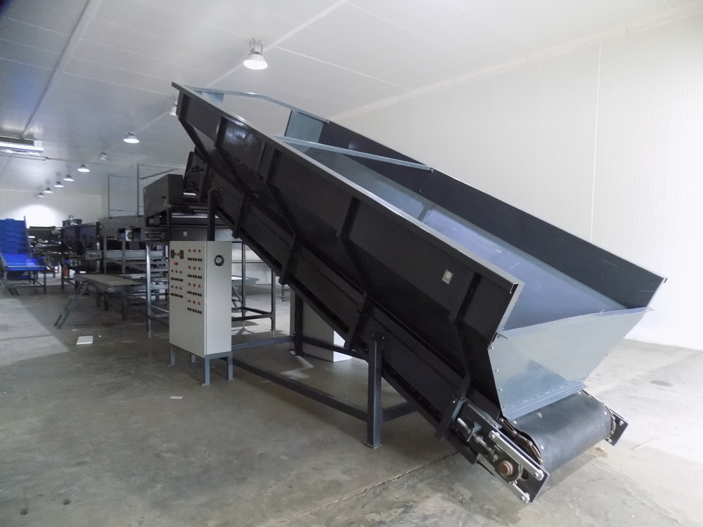 Vegetable Grading Machine