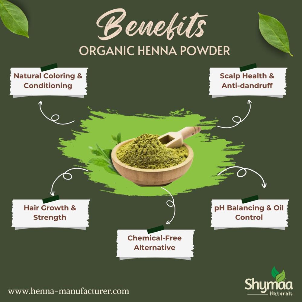 100% Organic Neutral Henna Cassia Obovata
