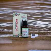 Eucalyptus Pure And Natural Essential Oil