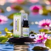Lemongrass Pure And Natural Essential Oil
