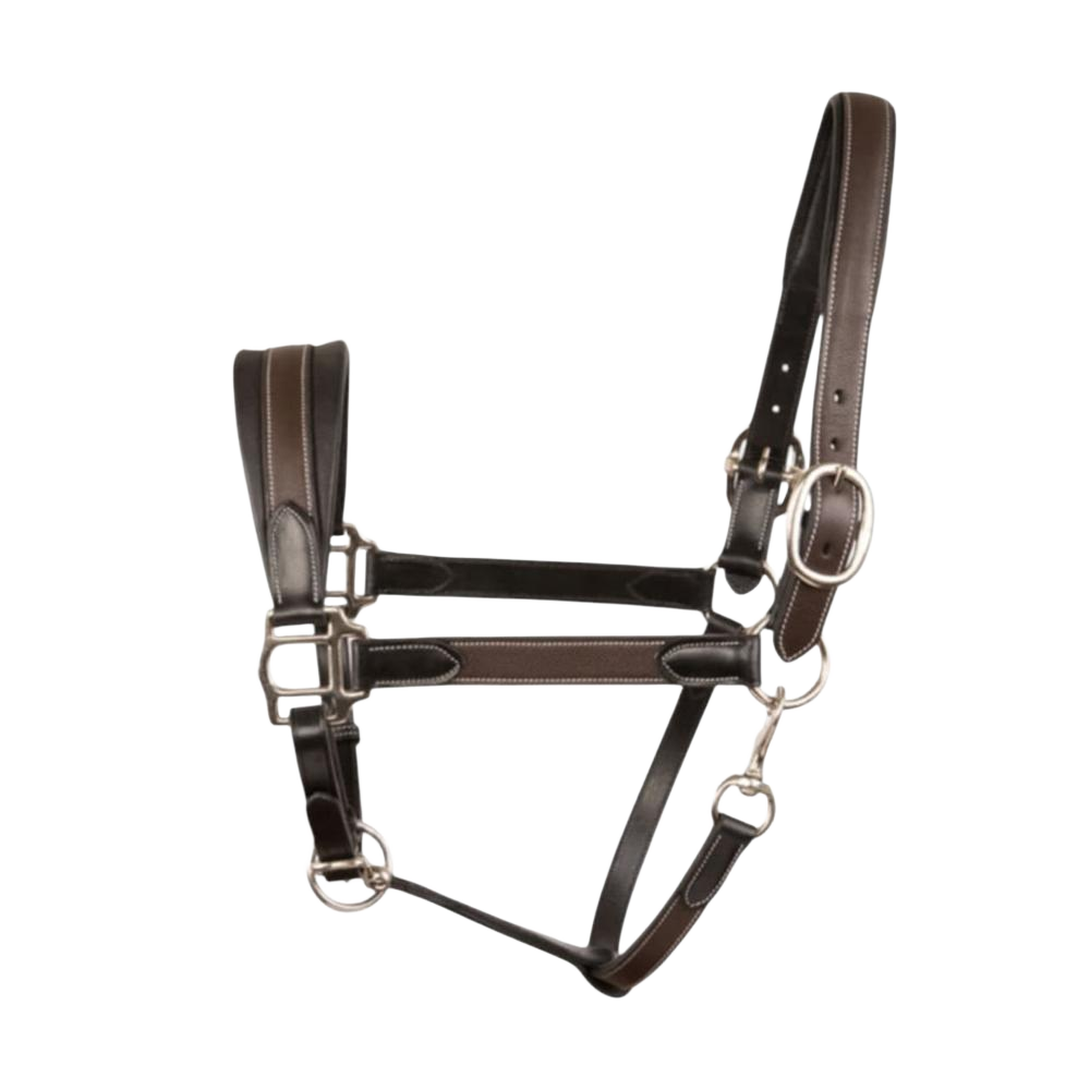 Leather Horse Halter