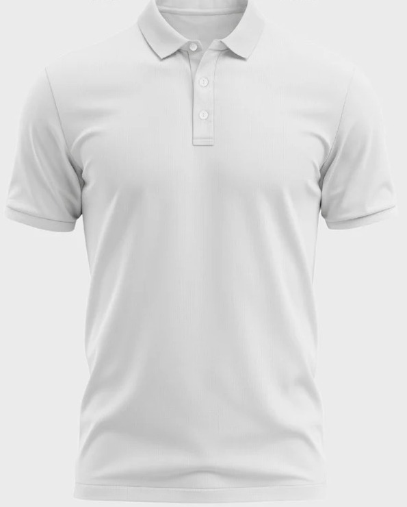 Promotional Cotton T-Shirts Printing Service