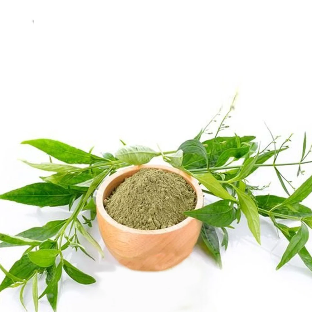 100% Organic Kalmeg Powder Ayuvedic Indian Herbs