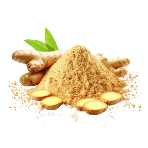 100% Organic Ginger Powder Ayurvedic Indian Herbs