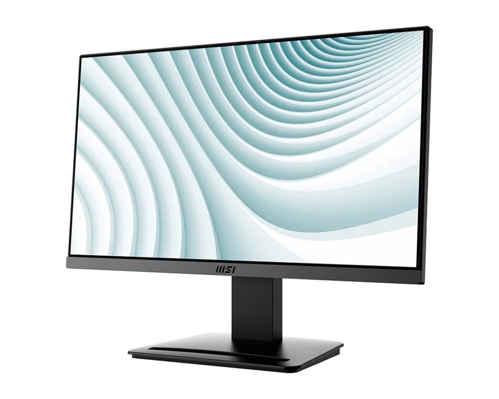 MP223-Black Professional Business Monitor