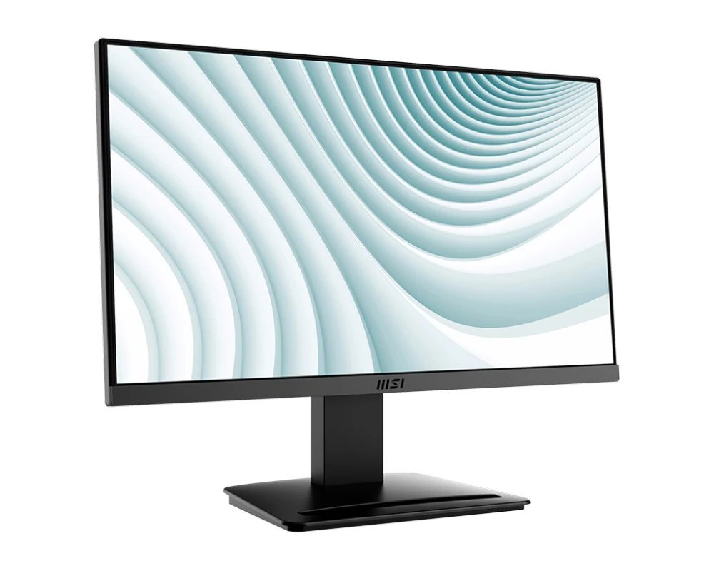 MP223-Black Professional Business Monitor