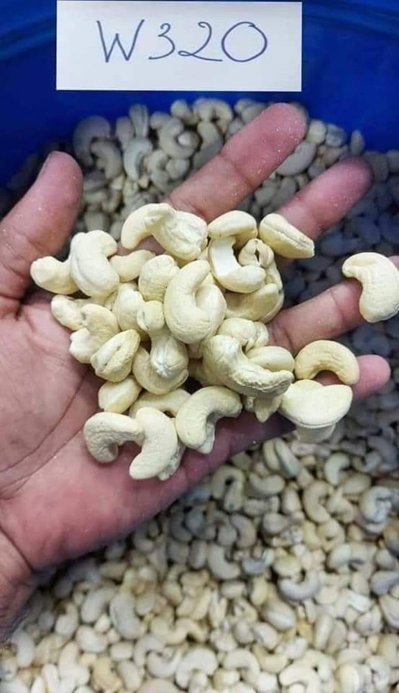Cashew W320W320 Cashew Nuts Premium Cashew W320 Whole Cashew Kernels W320