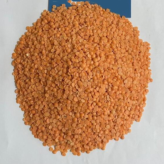 Split Red Lentil