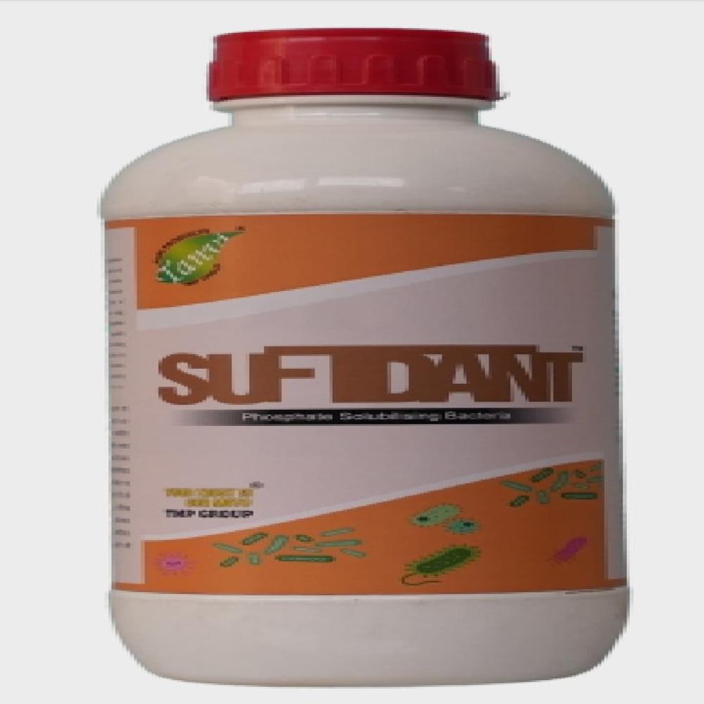 Phosphate solubilizing bacteria