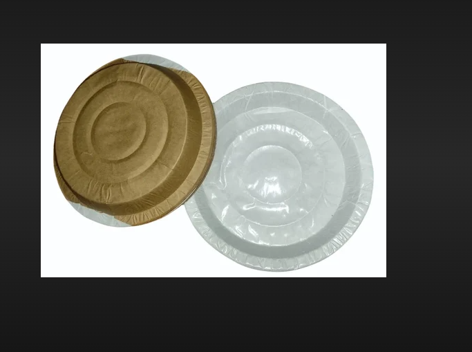 White Disposable Chila Paper Plate