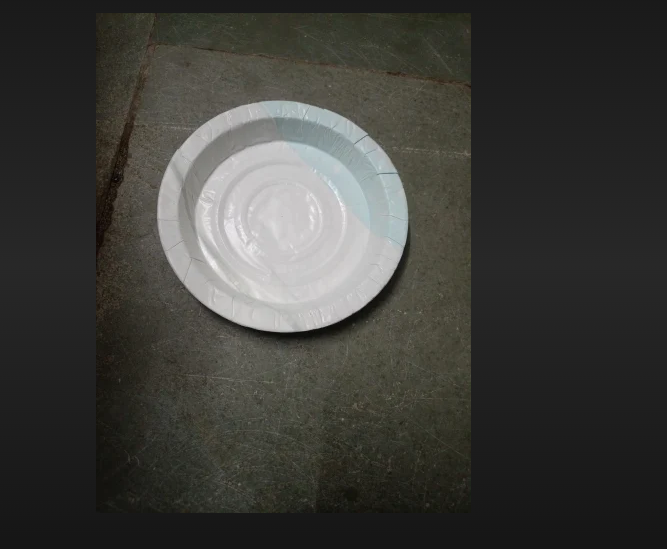 White Disposable Chila Paper Plate