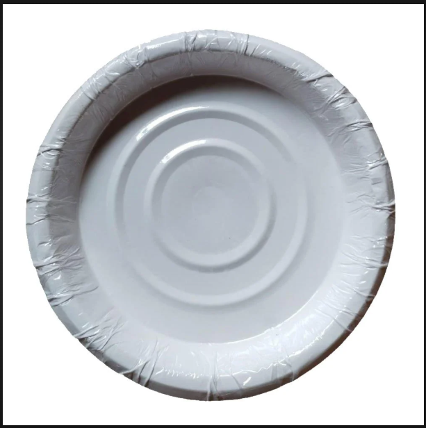 White Disposable Chila Paper Plate