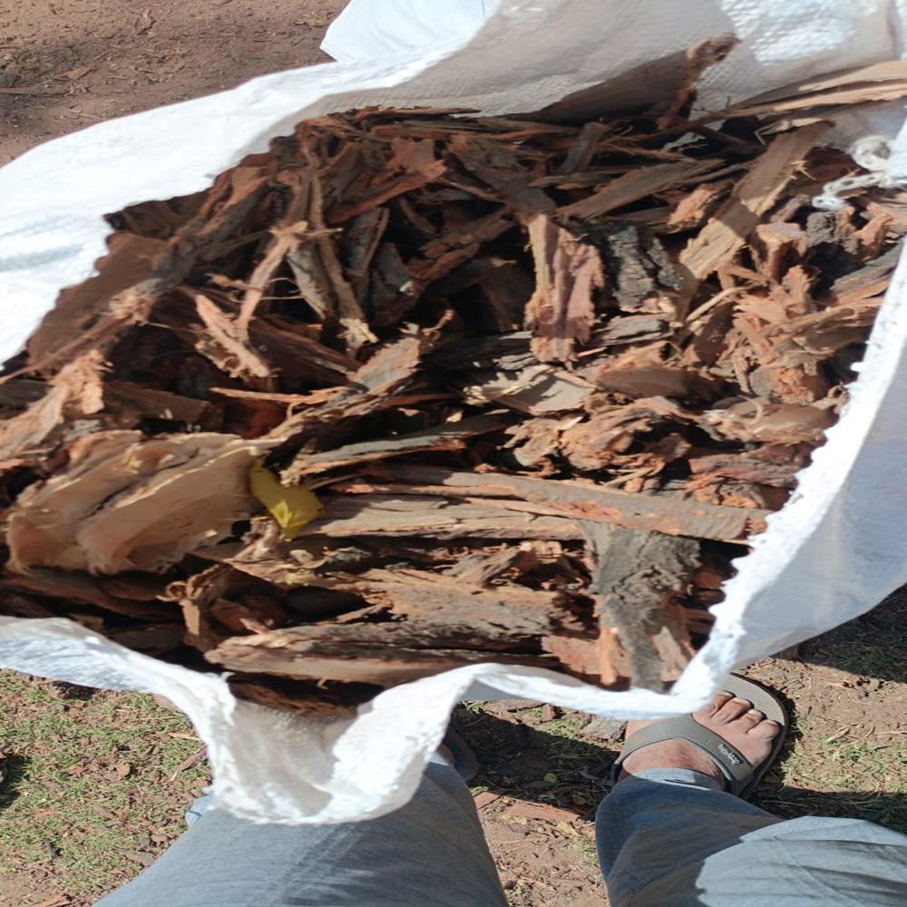 Babool Bark Powder