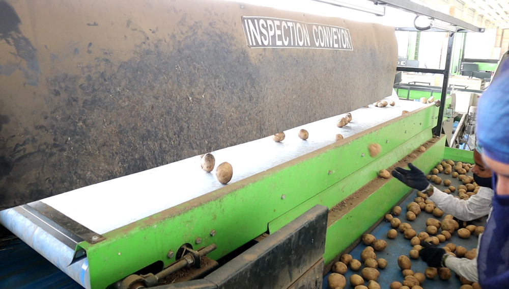 Automatic Material Handling Line