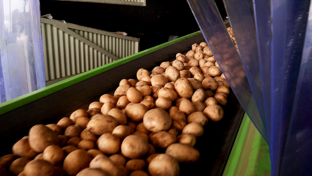 Material handling system