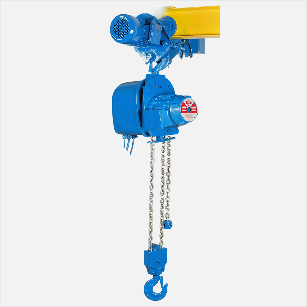 Chain Electric Hoist with Trolley
