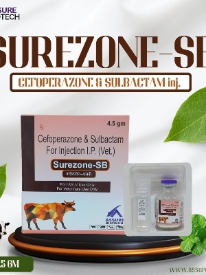 SUREZONE - SB