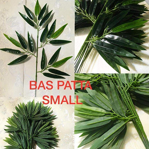 Bas Patta Small Plant
