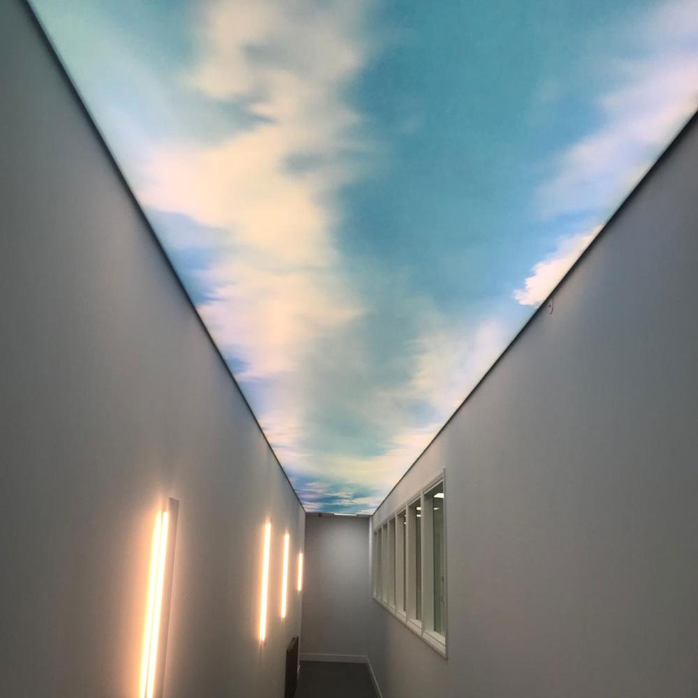 Print stretch Ceiling Light