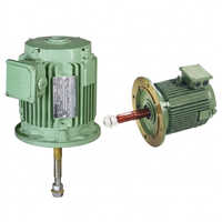 Cooling Tower Electric Motor - Color: Green | Foot & Flanged | High Performing with Guarantee