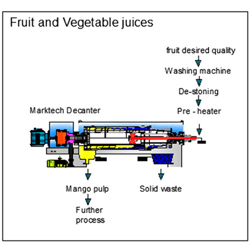 Decanter Centrifuges for Fruit & Vegetable Juice Processing